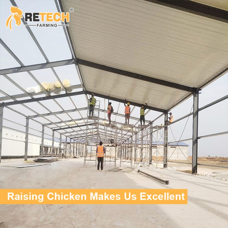 Chicken Cage Equipped Chicken House in Poultry Farm Prefabricated Steel Structure