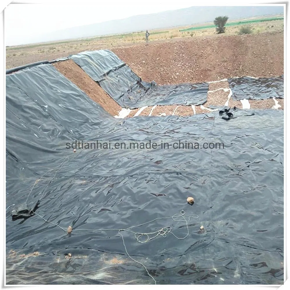 0.5mm HDPE Liner/Pond Liner for Shrimp Farming