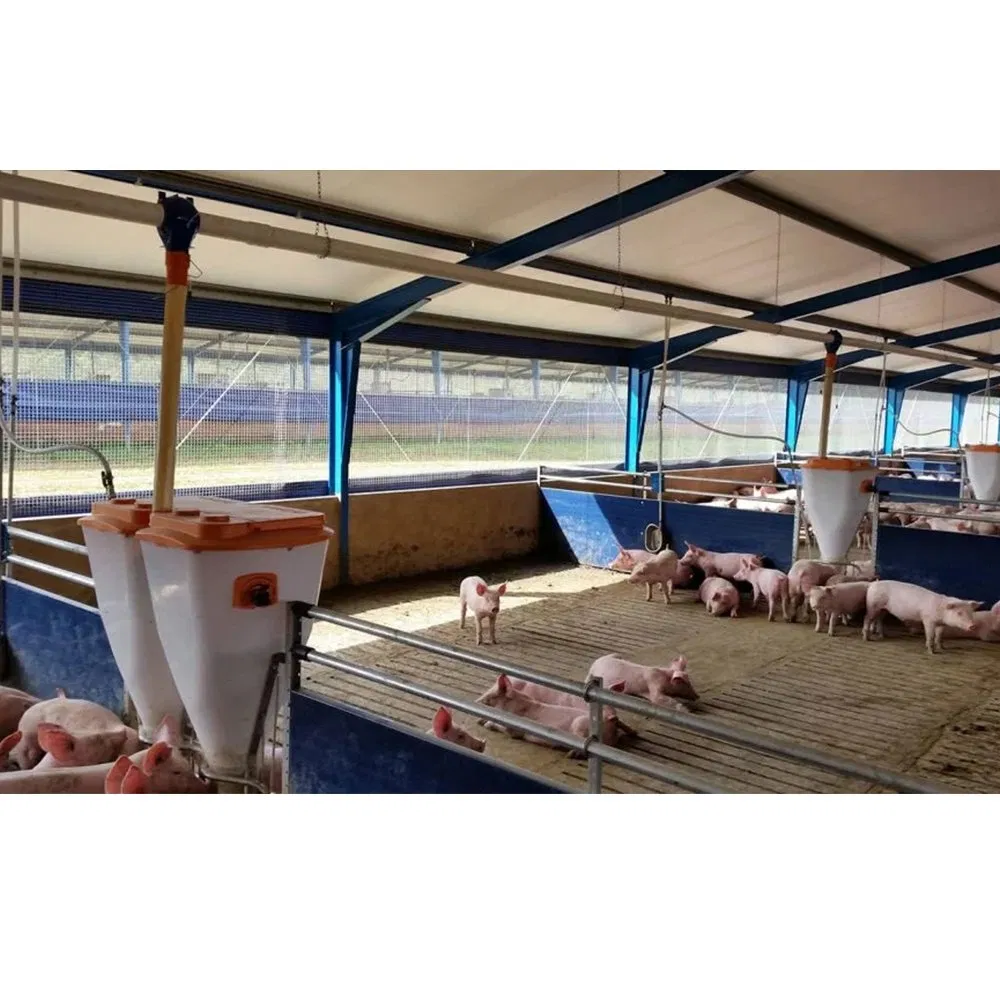Design Egg Layer Battery Chicken Cage System Prefabricated Steel Structure Poultry Farm House
