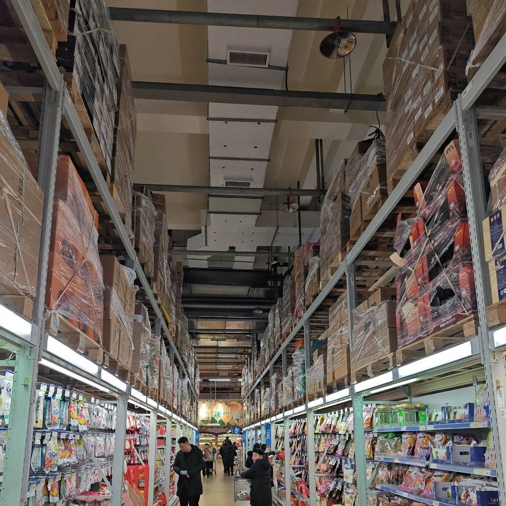 Low-Cost Prefabricated Light Steel Structure House for Supermarket with Free Modern Design