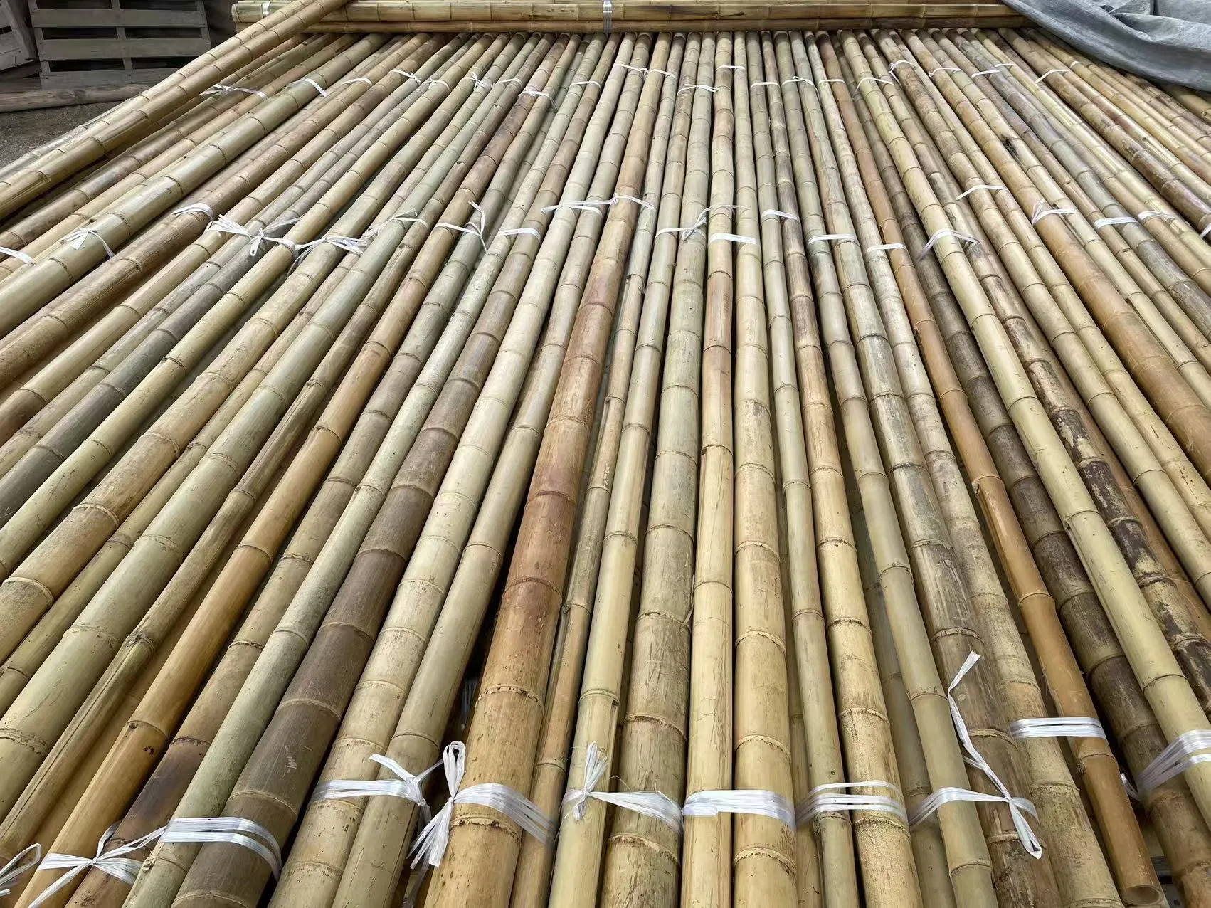 High Quality Giant Bamboo Poles for Gardening and Plant Support Bulk Order