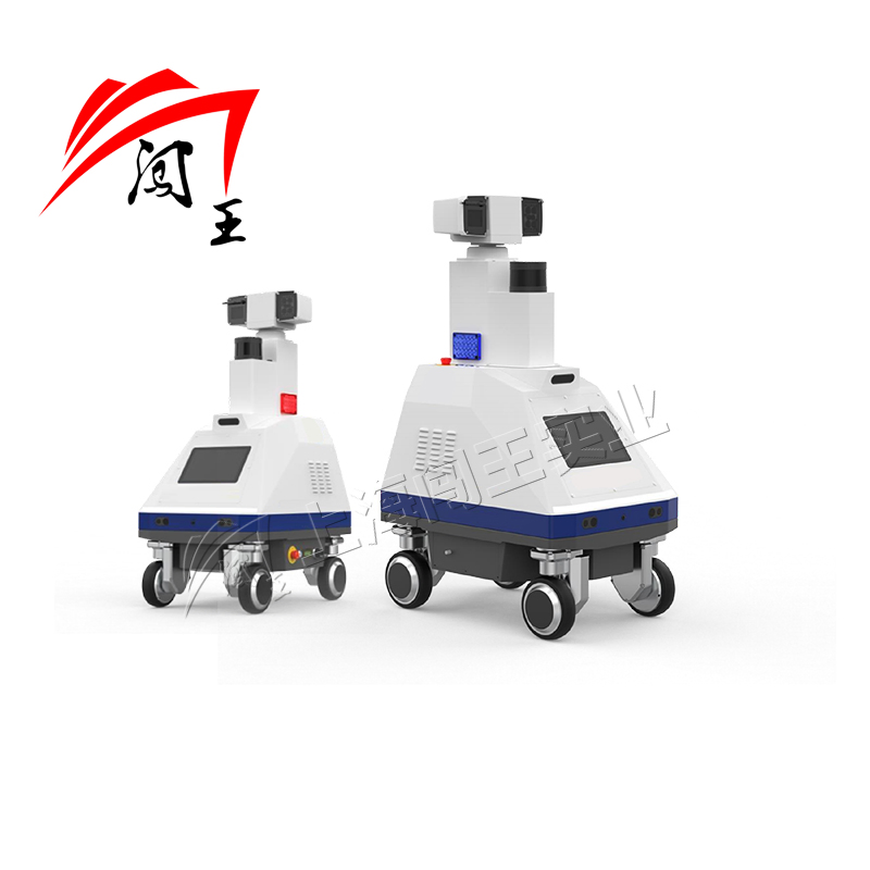 Mobile Security Robot: Real-Time Monitoring in Transit Hubs