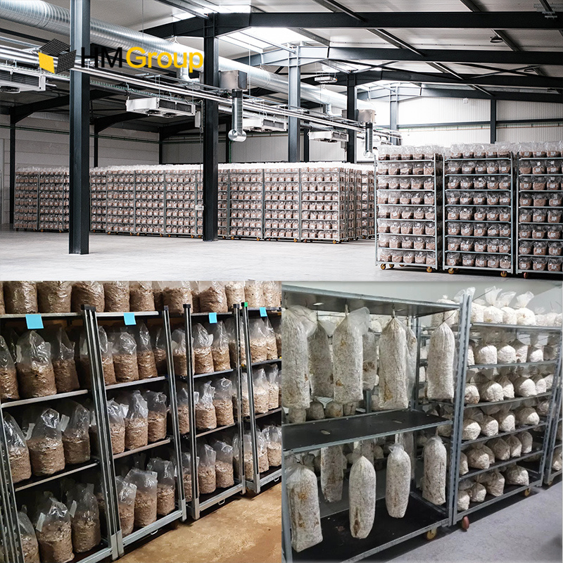 Hot DIP Galvanized Nursery Greenhouse Mushroom Cultivation Rack for Sale