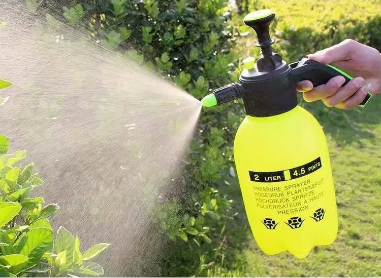 Hand Compression Sprayer 2L Easyto Ys-2