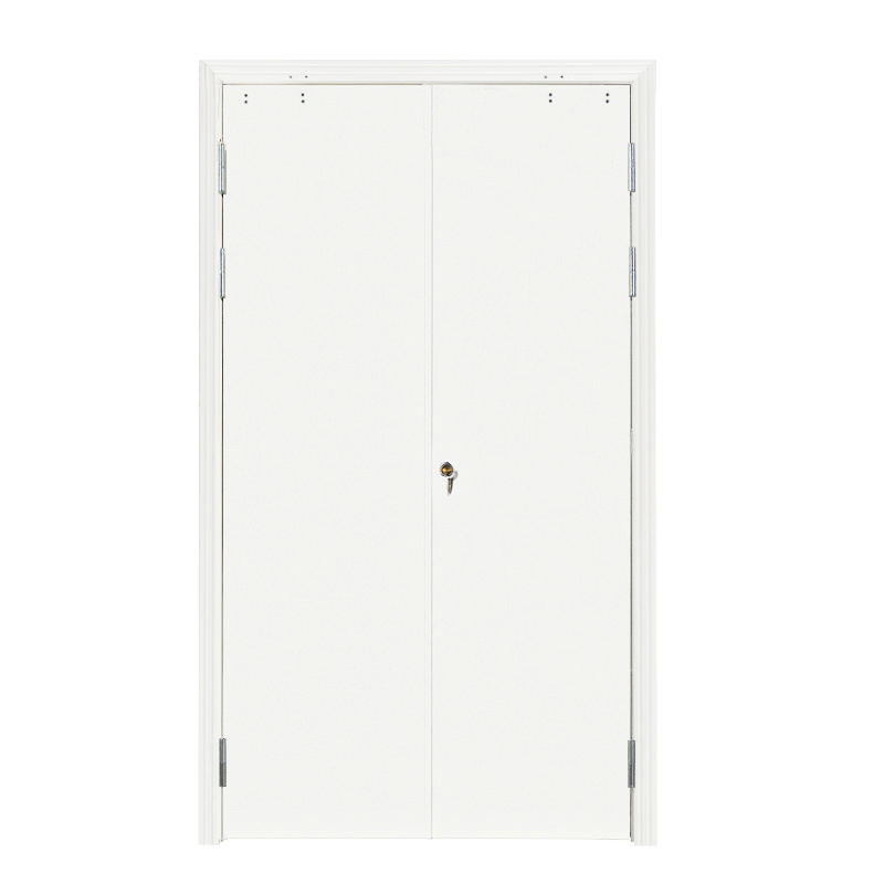 Customized Fire Door Class a Class B Steel Fire Medical Purification Door Stainless Steel Fire Door