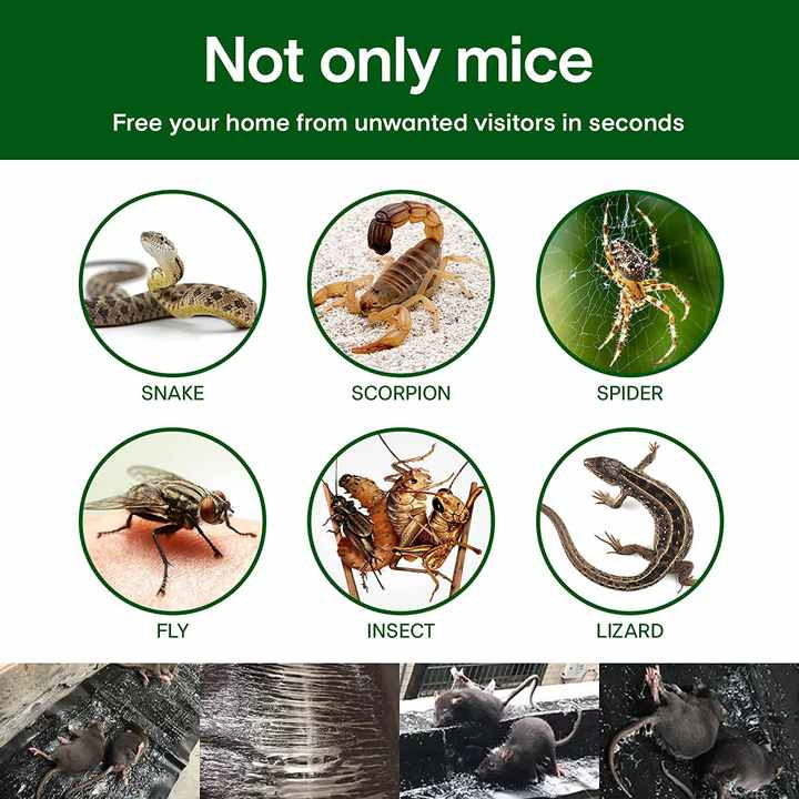 2025 New Style Rat Killing Magic Blanket