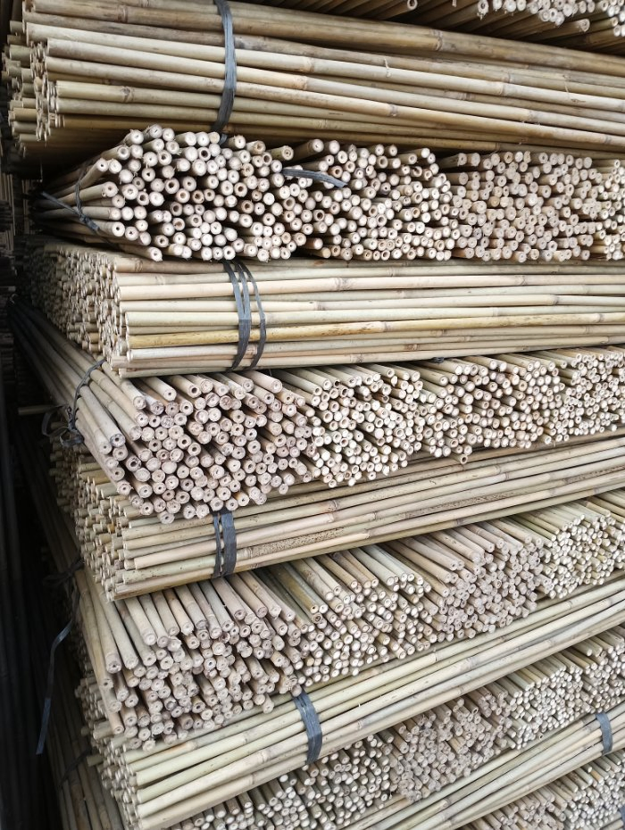 Dried Treated Bamboo Poles/Canes/Stakes Poles for Bamboo Raw Garden Plant Support