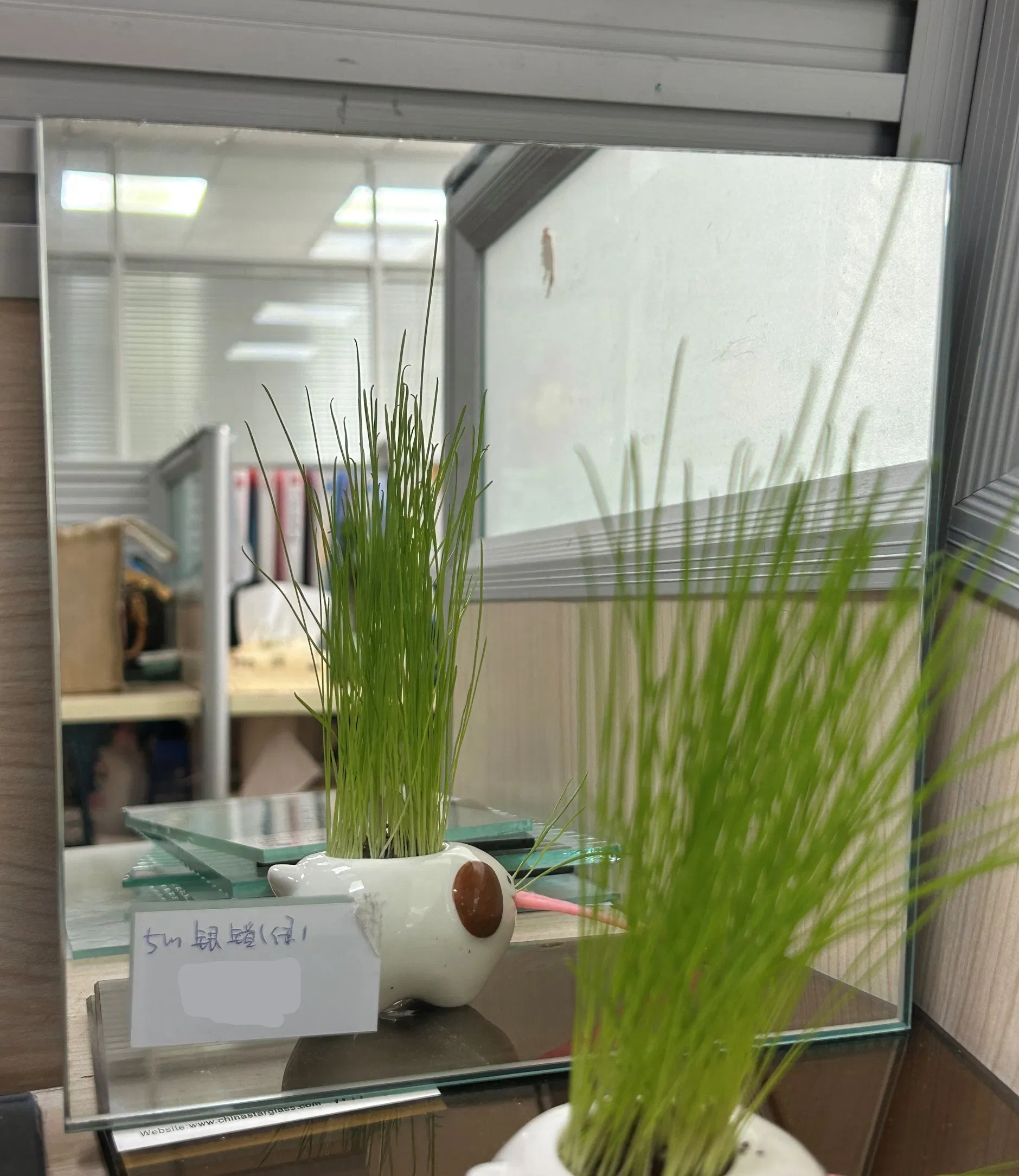 8mm Clear Silver Mirror/Bathroom Mirror/Glass Mirror for Dressing/Decoration