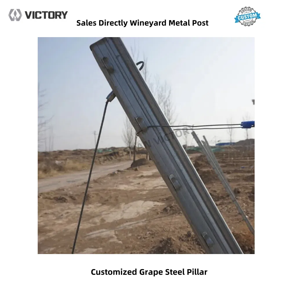 Heavy-Duty Galvanized Metal Fencing Posts for Garden Protection