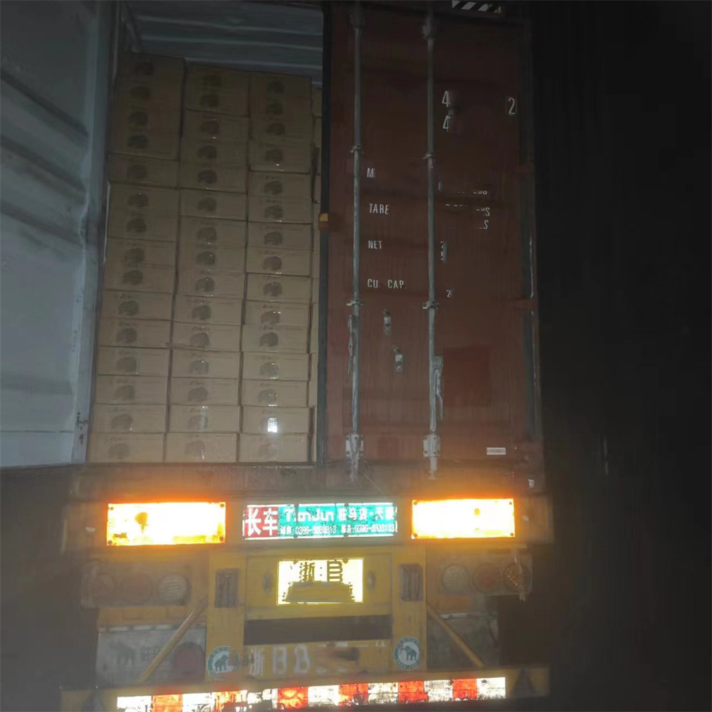 Теплица садовая пластиковая мини с рамкой