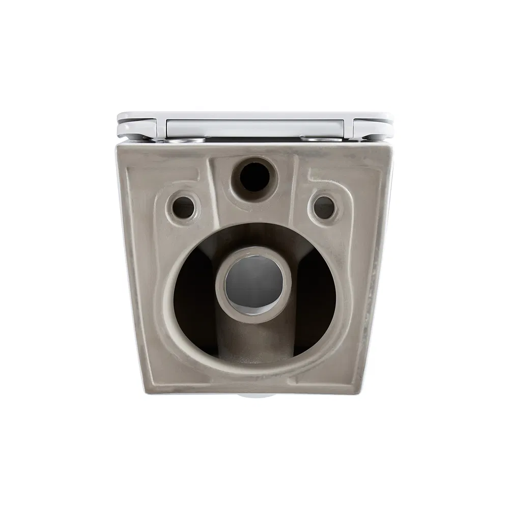 Modern European Hanging Wall Mounted Rimless Flushing Ceramic Wc Bathroom Grey Wall Hung Toilet