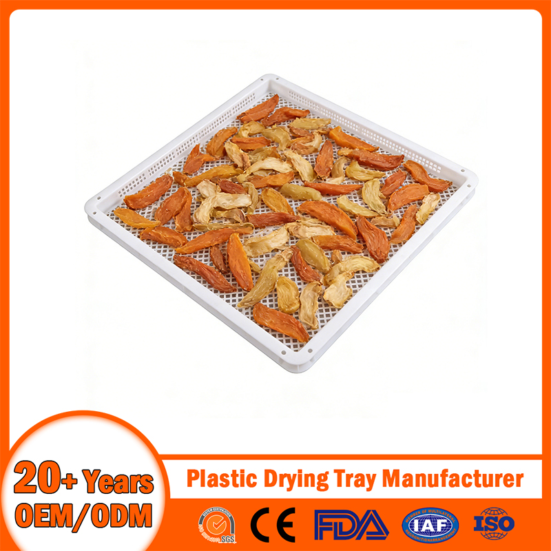 China Plastic Drying Tray Manufacturer Stackable/Nestable/Perforated/Mesh/Solid Bottom Plastic Cooling/Freezing/Dried Tray for Seafood/Fruit Aquaculture/Herbal