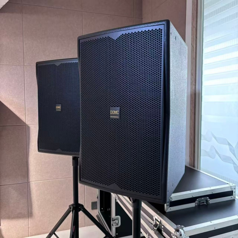 Domc K210 10-Inch Speaker, 1200W Peak, 300W AES Power Rating