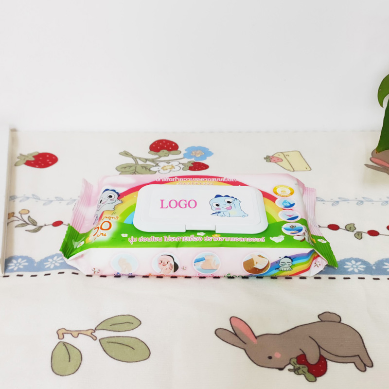 Disposable Multi Purpose Household Cleaning Sanitary Wipes for Disinfecting