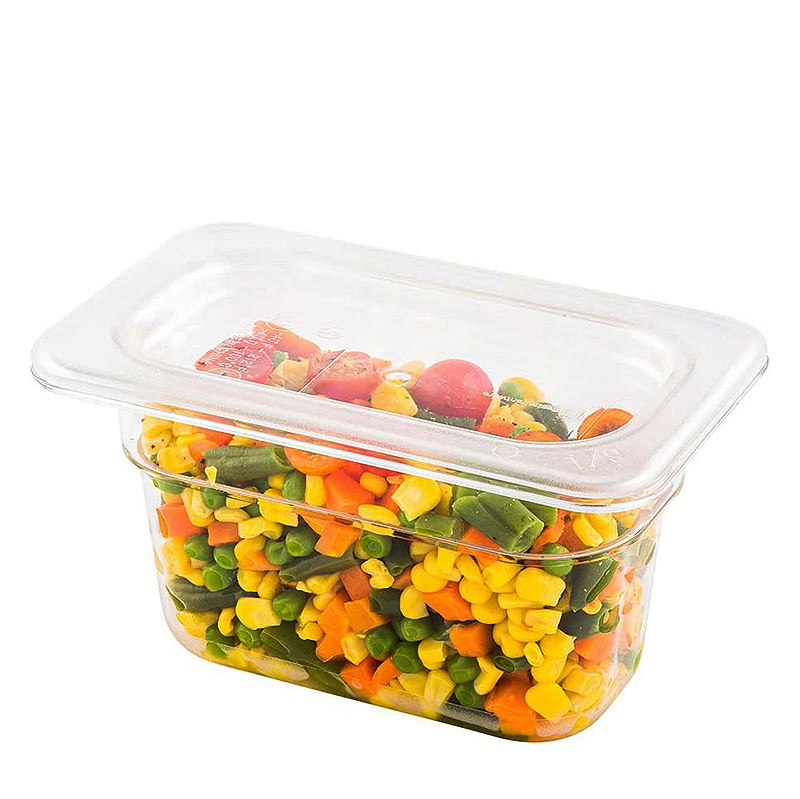 1/9 Size Commercial Catering Equipment Other Hotel Restaurant Supplies Chafing Dish Plastic PC Gastronorm Container Food Gn Pan
