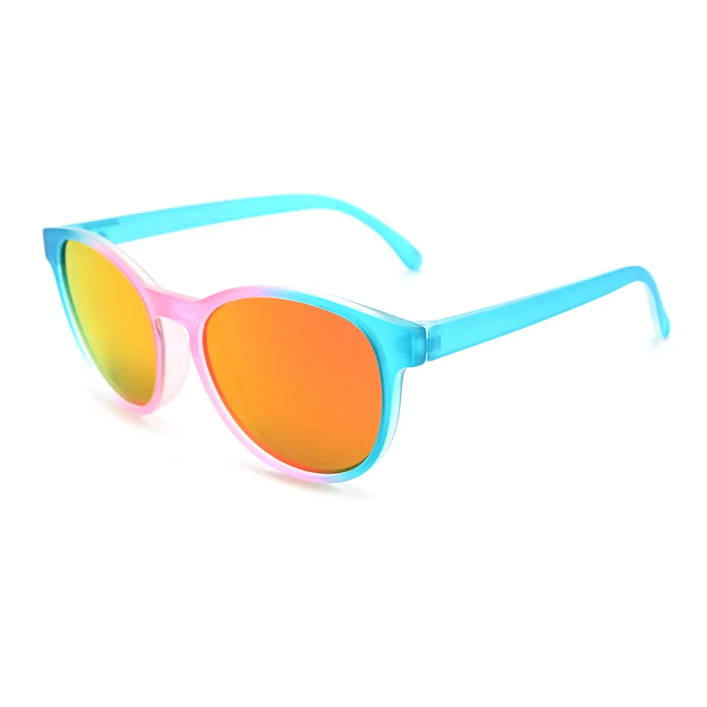 2024 New Designer Women Round Frame Lifestyle Recycled Plastic Sunglasses Wholesale Custom Logo