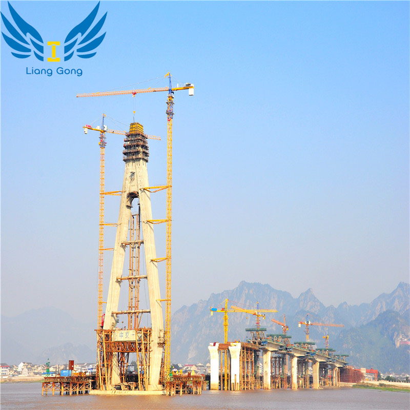 Lianggong Upward & Downward Hydraulic Auto-Climbing Formwork for High-Rise Building