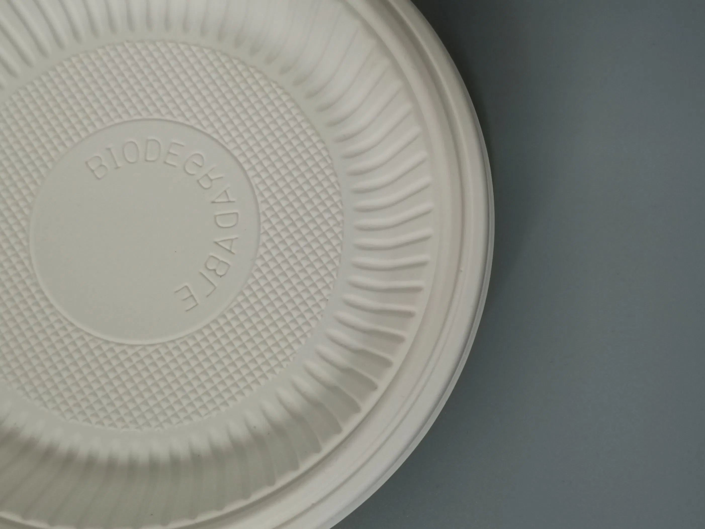 Disposable Biodegradable Bio-Based Corn Starch Plate Party Dinner Food Dishes