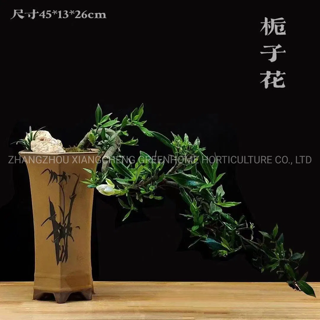 Ceramic Flower Pots Garden Ornaments Pottery Pot