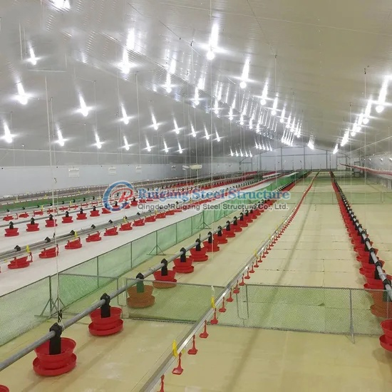 China Design Low Cost Prefabricated Steel Cow / Cattle / Sheep / Chicken Farm Building / House / Barn / Byre
