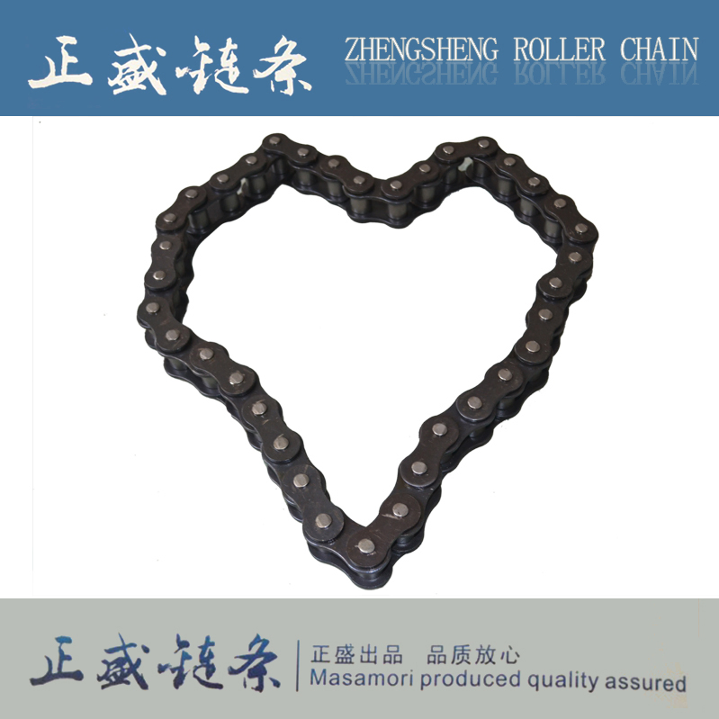 Hot Sale Standard ANSI Industrial Transmission Industrial Conveyor Roller Chain