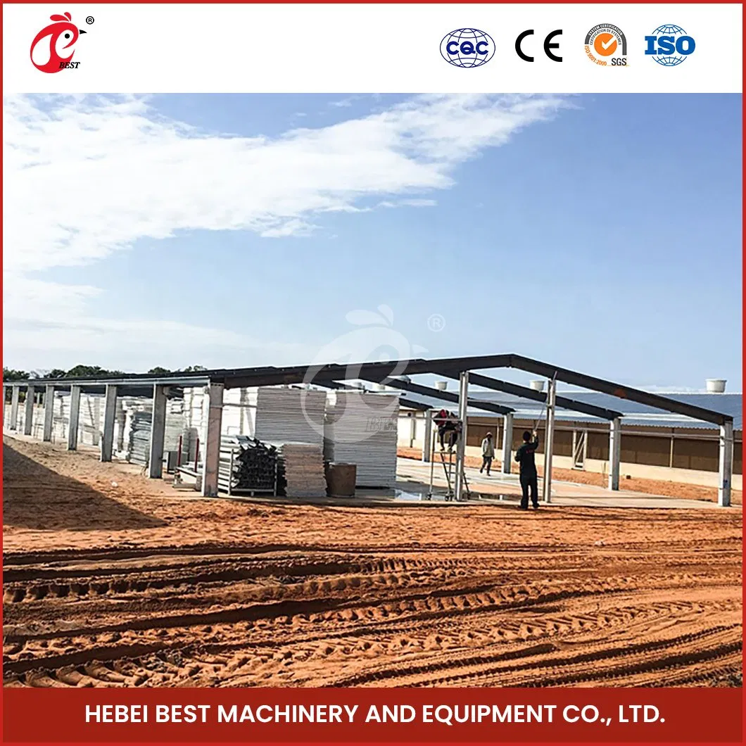 Bestchickencage Steel Poultry House China House Steel Chicken Building Manufacturer Custom Good Looking Steel Structure Chicken House