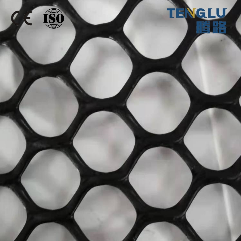 Geonets Suitable for Reinforcing Roadbeds and Slope Protection of Mountains Have The Characteristics of Anti-Aging and Corrosion Resistance