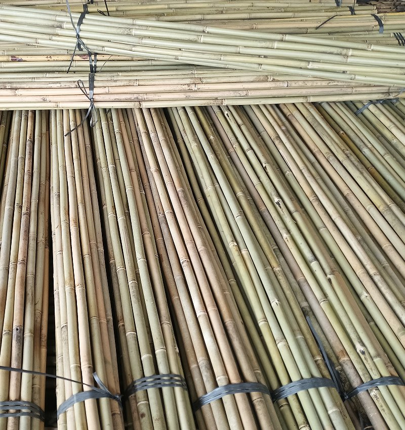 Tonkin Bamboo Pole, Cane, Stick, Stake Is The Best Bamboo Cane