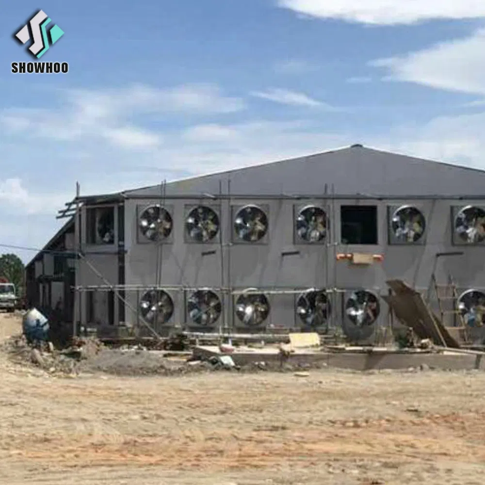 Modern Low Cost Quick Build Sound Proof Close EPS Panel Steel House Poultry Farm Control Shed Chicken Farm in Pakistan