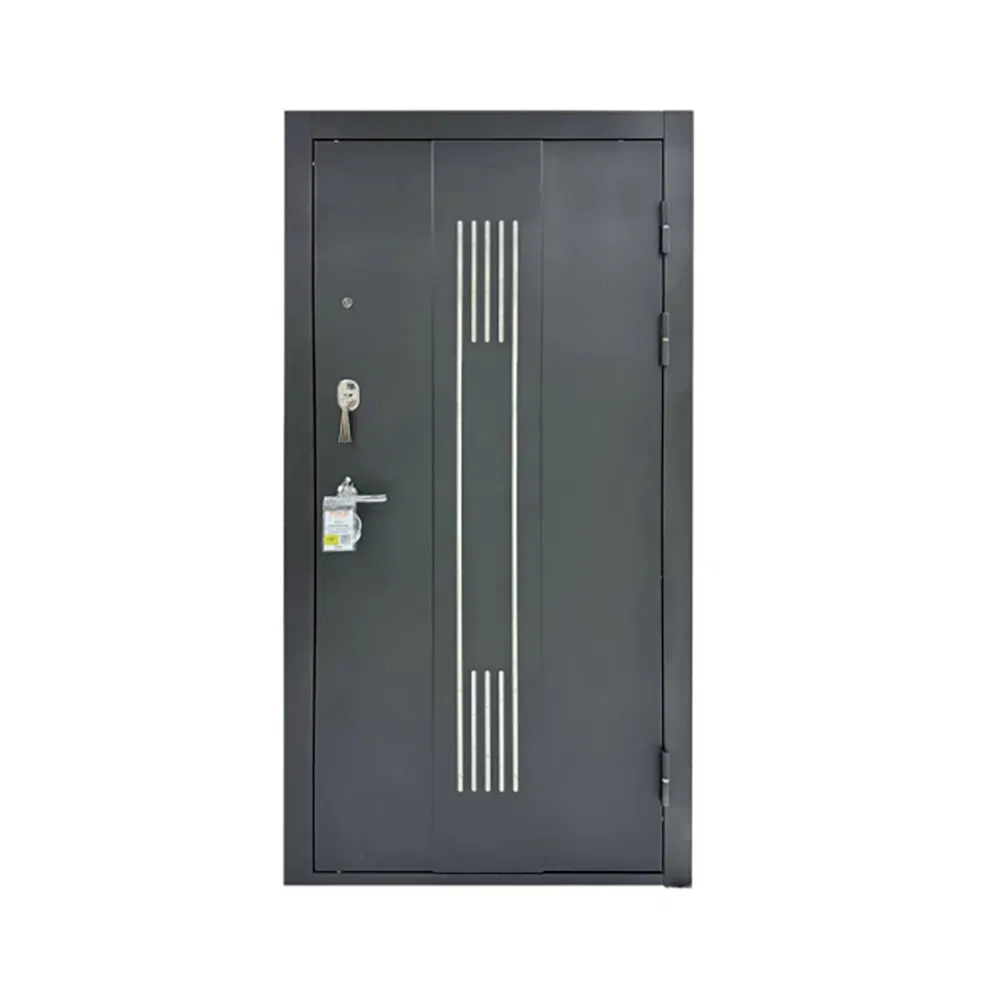 Modern Exterior Main Gate Door