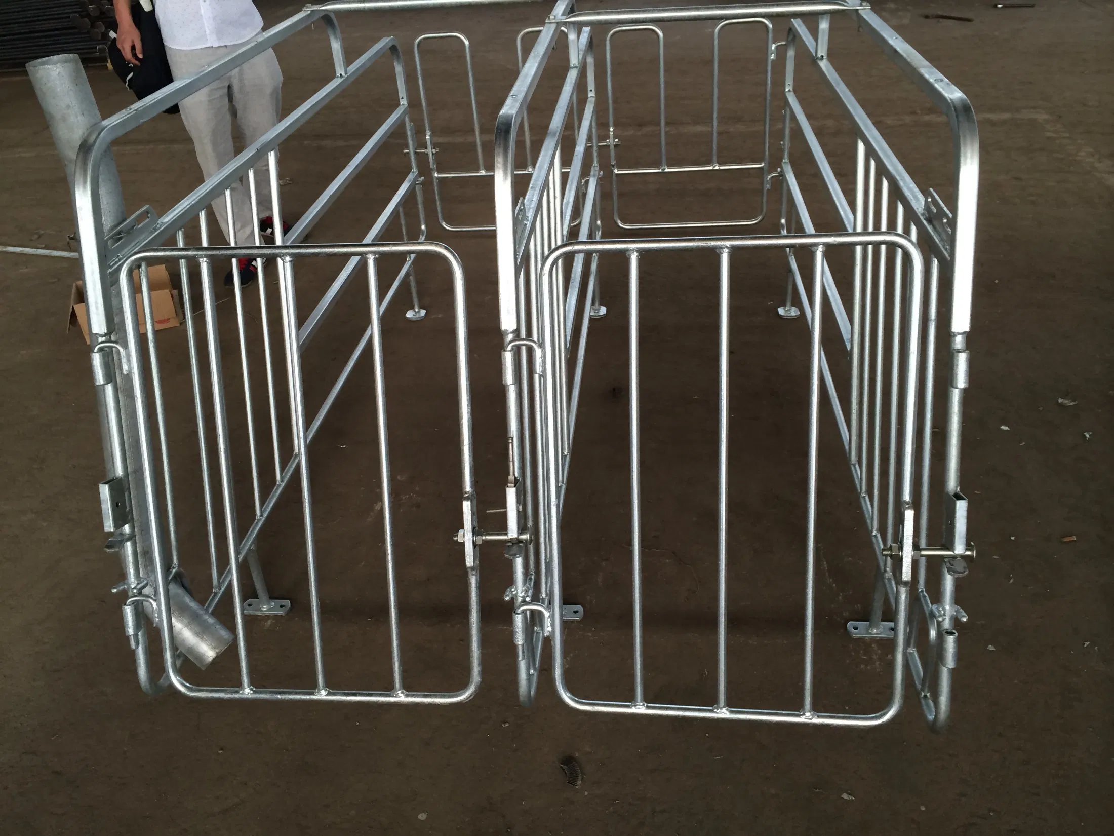 Pig Farm Equipment Sow Gestation Stall