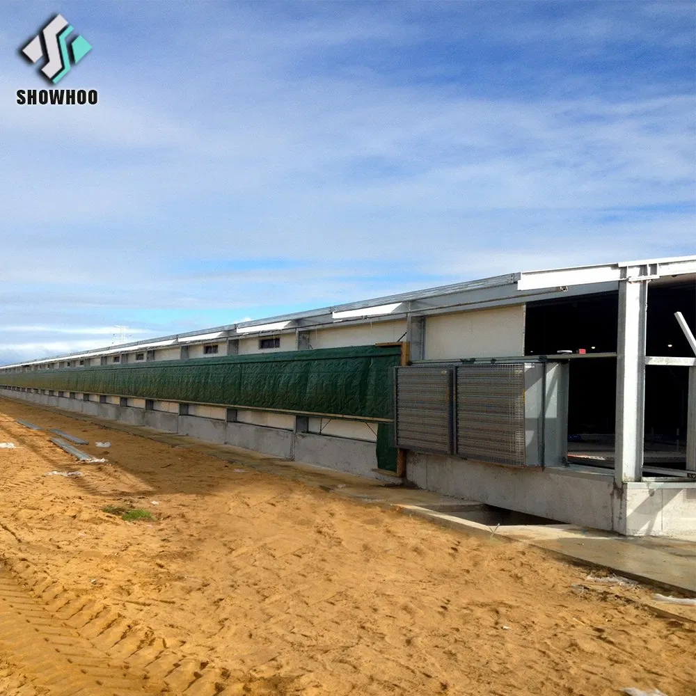 Architectural Design Poultry Farm Chicken Coop Shed for Chicken House