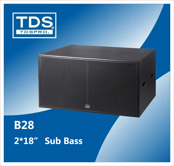 Dual 18inch Subwoofer Outdoor Performance Professional Stage Sound System