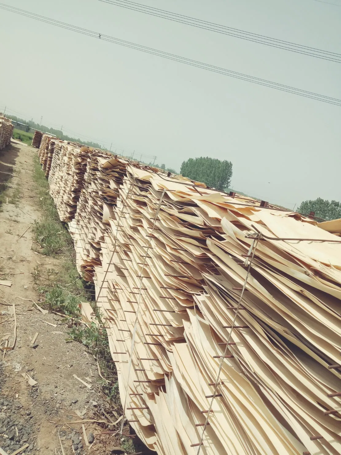1.7mm Pine Veneer Plywood European Oak American Walnut Sawn Toplayer Floor Sliced Veneer Lamella Floor for Flooring