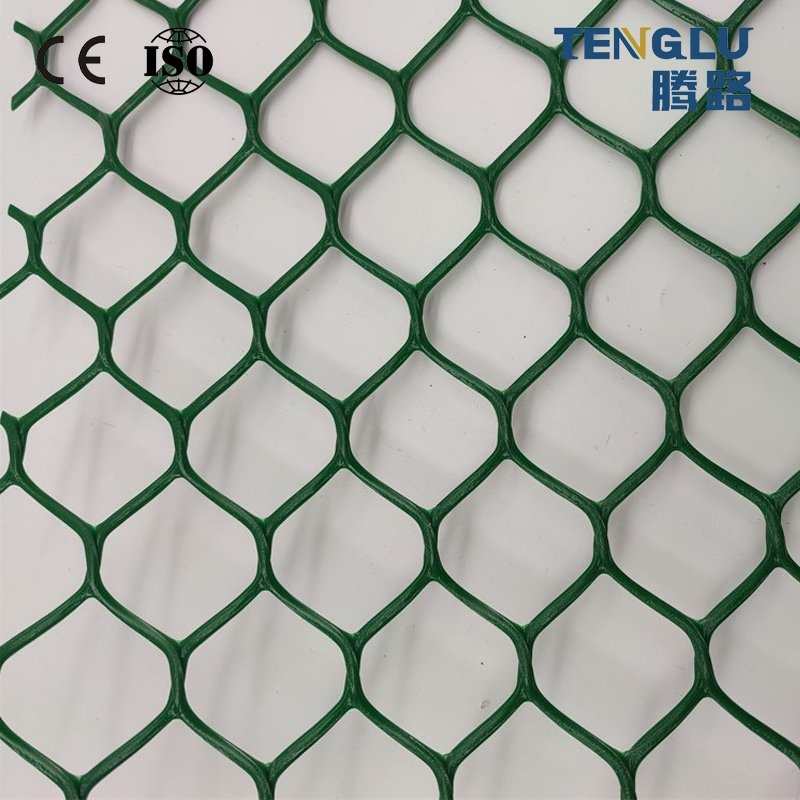 HDPE Geonet Reinforcement Plastic Meshes for Concrete Reinforcing Mesh