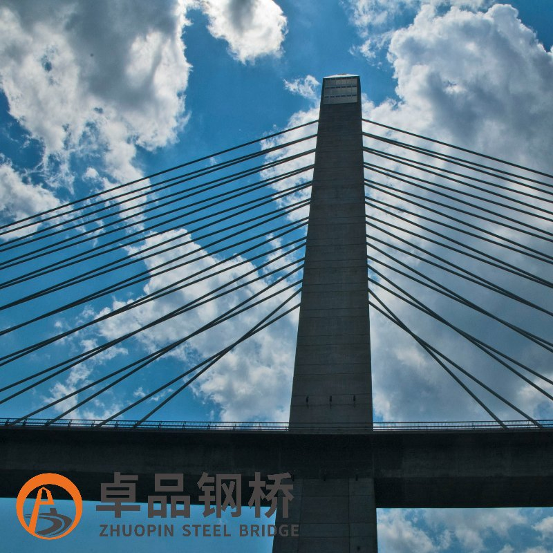 High Quality Long Span Steel Bridge/Steel Structure Bridge