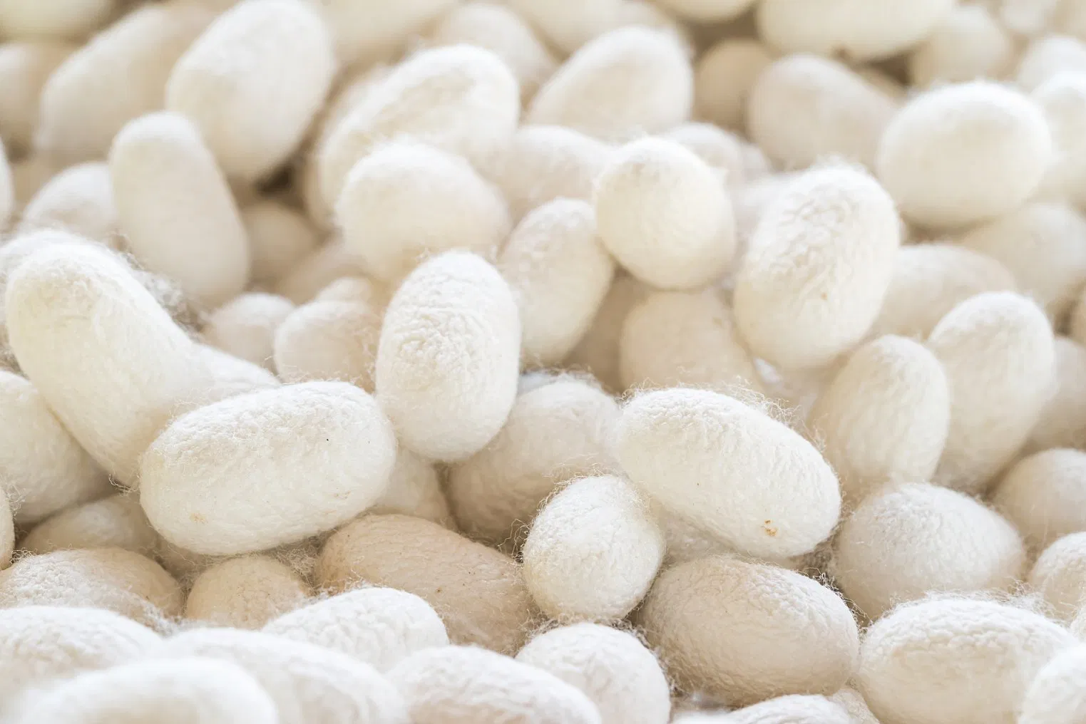 Silk Amino Acids White Powder Cosmetic Raw Material CAS96690-41-4