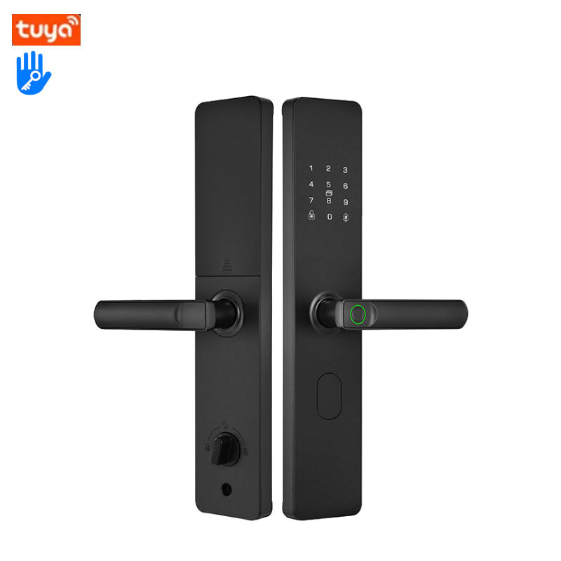 Smart Door Lock Fingerprint RFID Card Password Waterproof WiFi Cloud Storage Grade C Security Iron Material