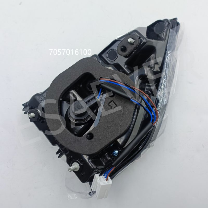 Задний фонарь в сборе