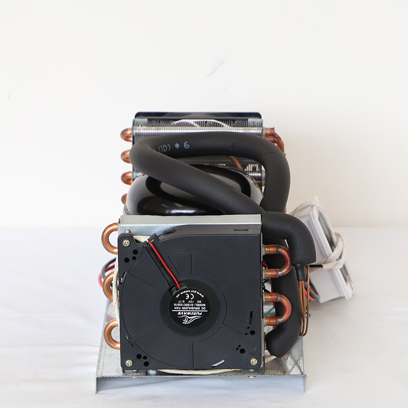 Purswave Bd25A DC 12V24V Mini Air Cooler Refrigeration Units Air Cooled Compressor Units Small Portable Air Conditioner Units Tiny Compressor