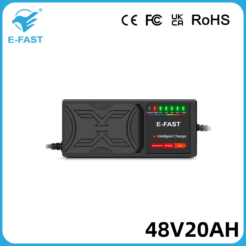 Intelligent 48V20ah Quick Charger Motorcycle Lead Acid Pulse Battery Charger