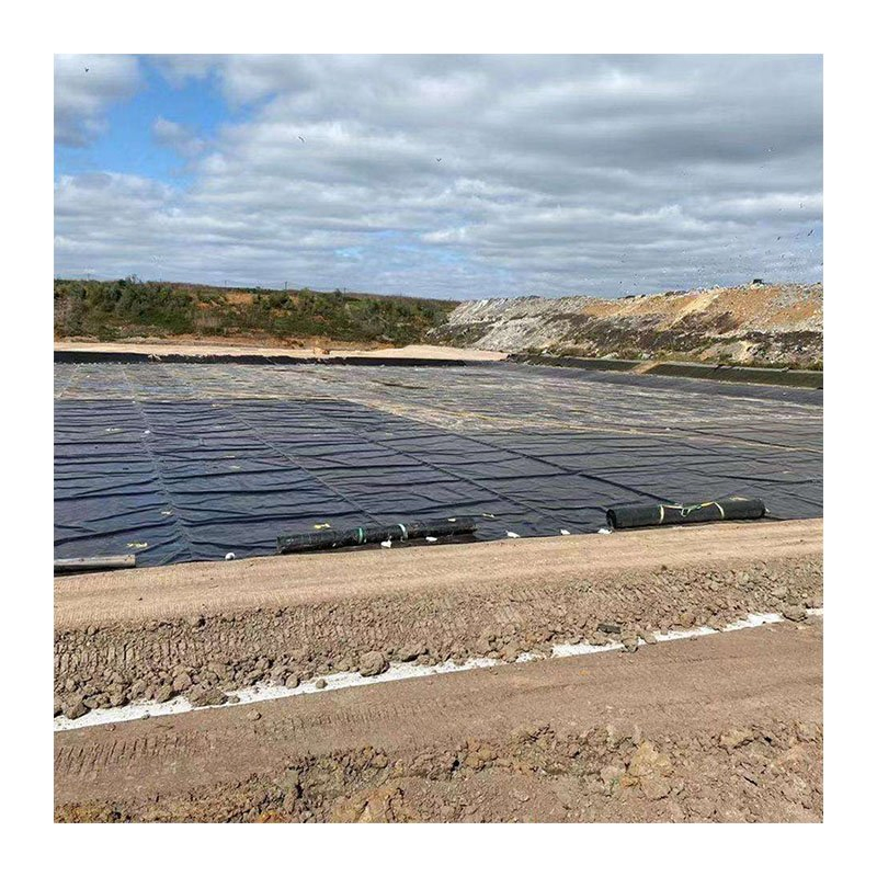 0.5mm 0.75mm HDPE Geomembrane Pond Liner 1mm 1.5mm 2.0mm Pond Dam Mining Landfill Geomembranes