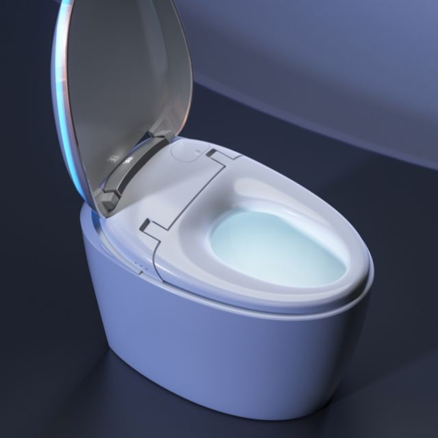 Promotional Egg-Shaped One-Piece Fully Automatic Smart Intelligent Toilet with Front Washing