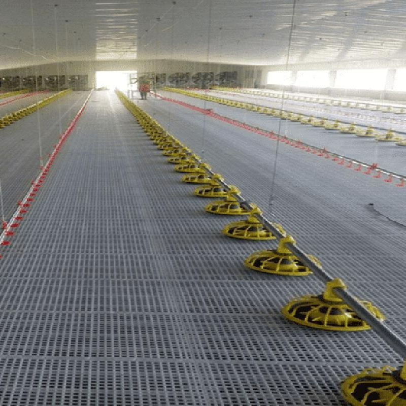 Commerical Shed Prefab Prefabricated Chicken Steel Structure Farm House Poultry Farm Equipment