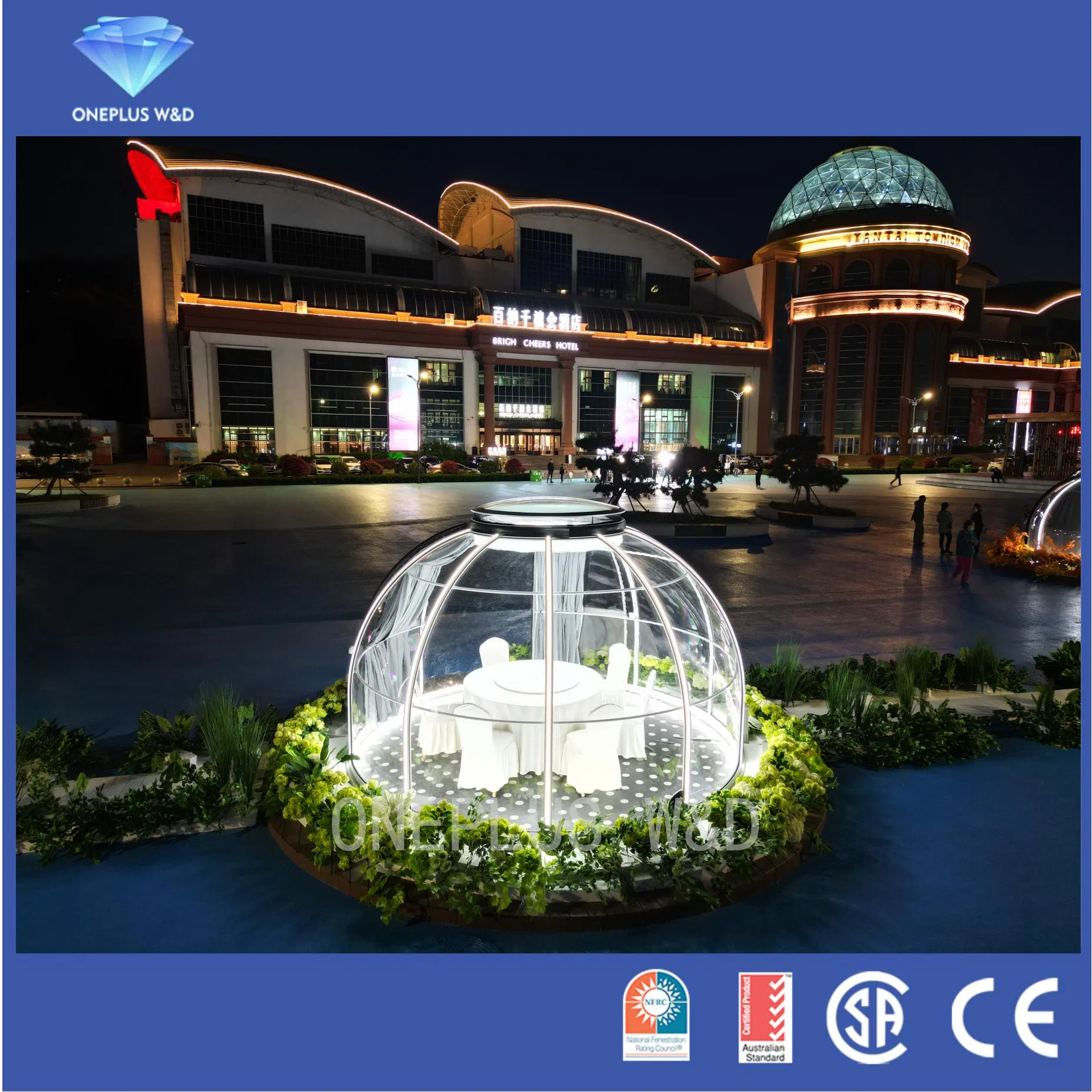 Hot Seller The Starry Sky Roof Wind Hotel Coffee Shop Door Bubble House