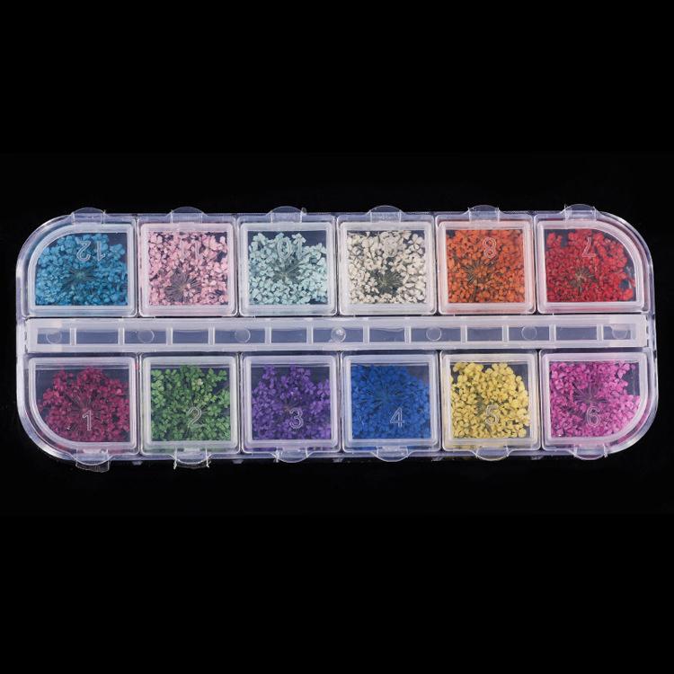 3D Nail Dried Flowers Sticker Colorful Nature Nail Art Design Nail Decals Dried Flowers