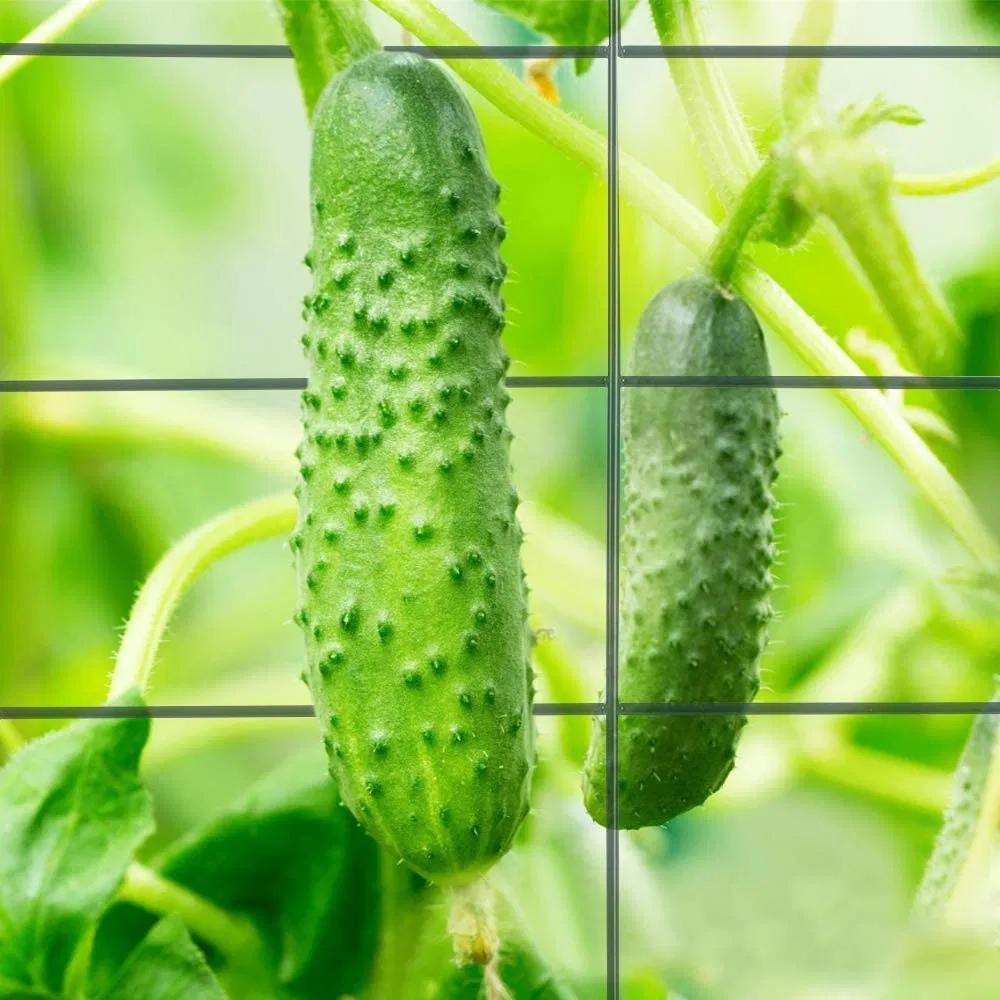 Folding Wire Wall Trellis Metal Garden Plants Support Trellis