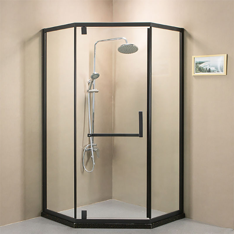 SUS 304 Hardware 10mm Glass Black Walk in Shower Screen/Door Designs