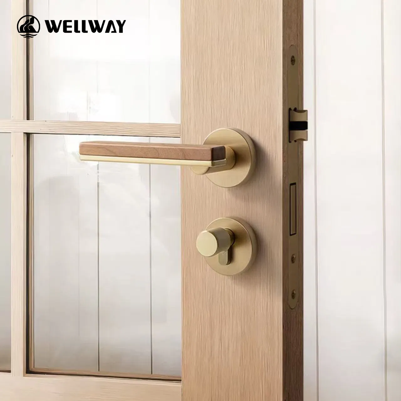 Black Brushed Zinc Alloy Square Lever Handle with Walnut Wood Insert and Round Rosette for Interior Door Wenzhou Factory China Factory OEM Premium - 1065r65
