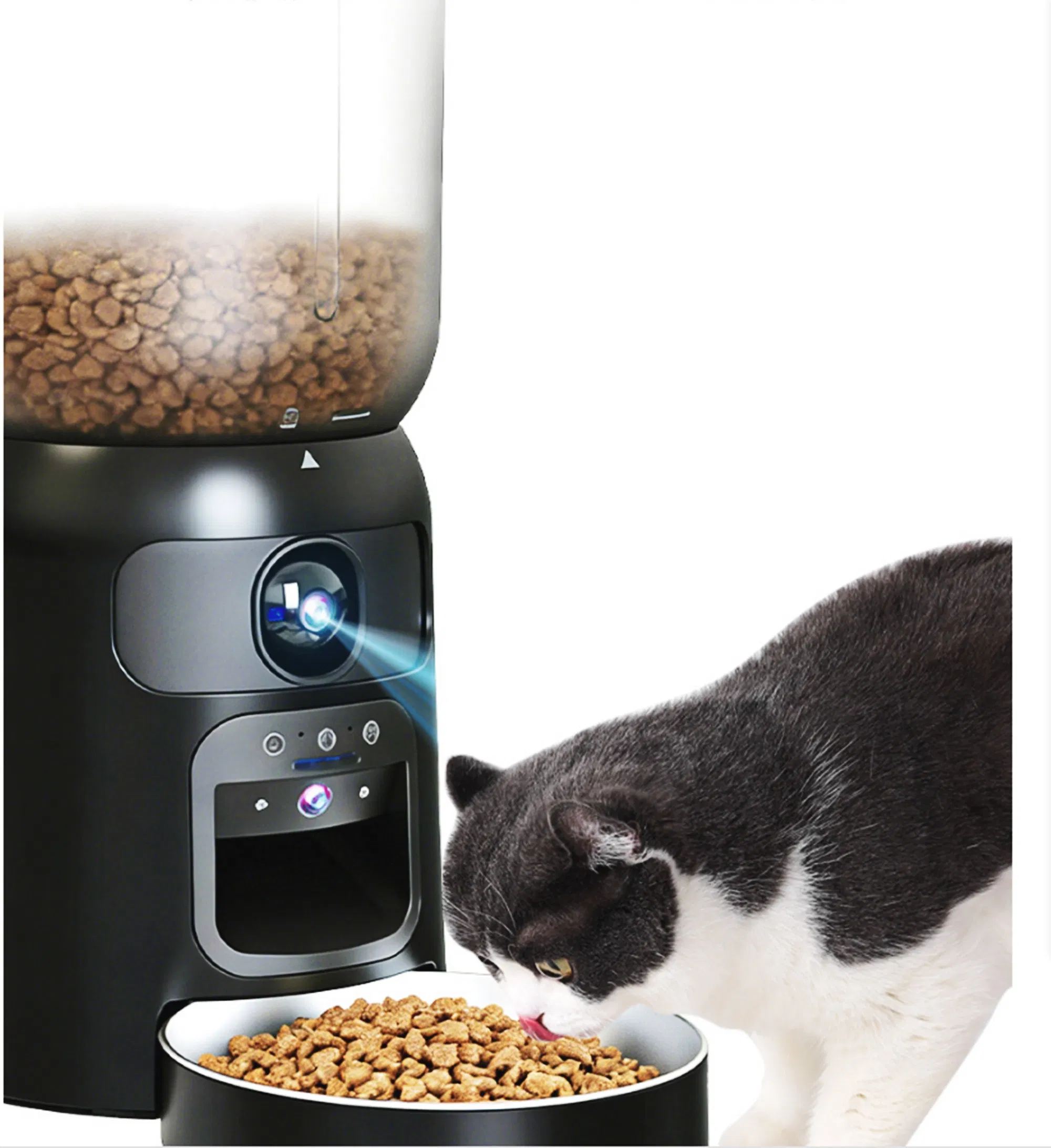 Timed Dog Feeder Stainless Steel Bowl Large Capacity Automatic Pet Food Dispenser